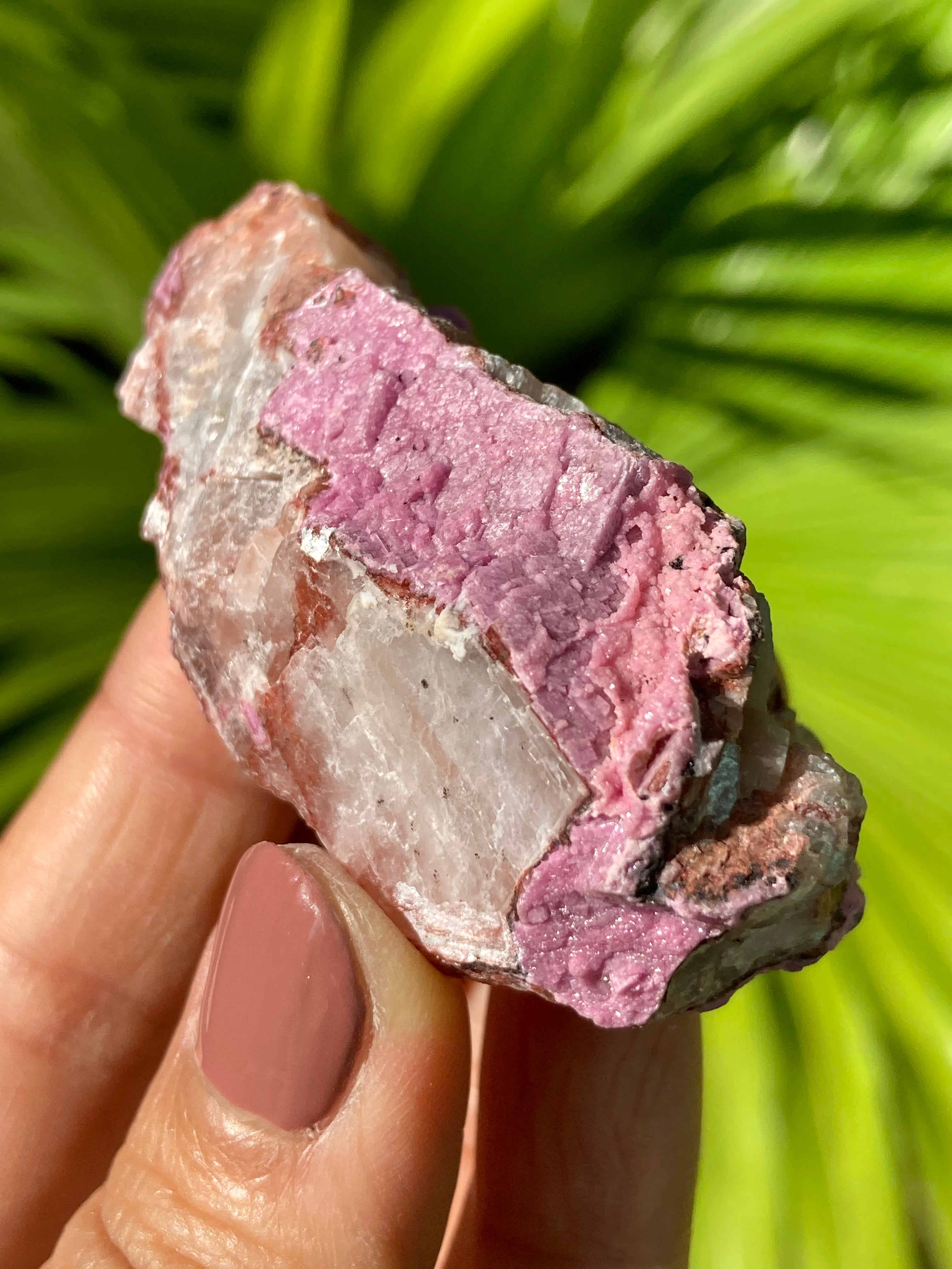 RARE Gem Grade Pink Cobaltoan Calcite online Crystal Cluster Vivid Fuchsia Cobalto DRC