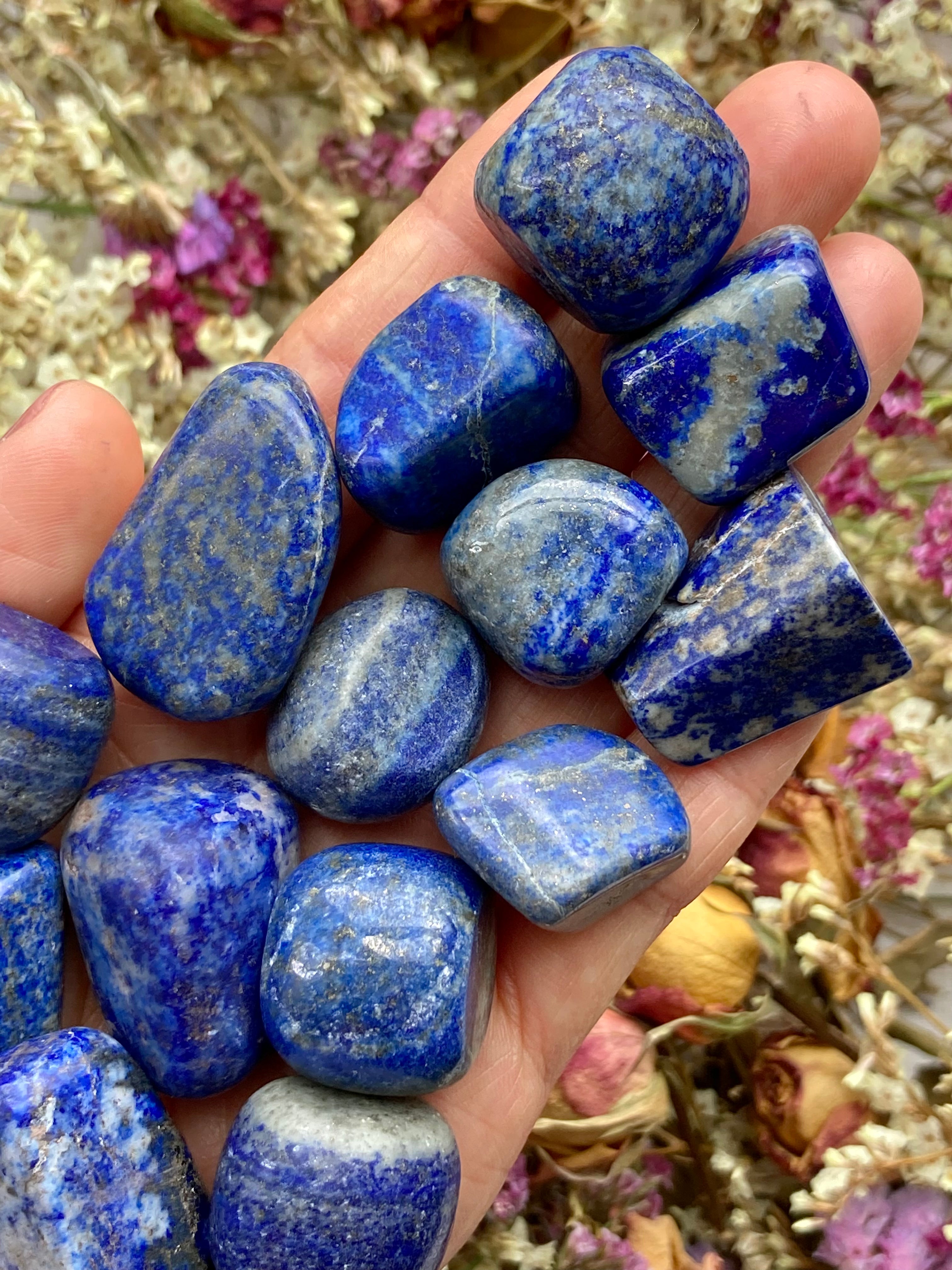 Lapis Lazuli Tumbles  wisdom & creativity – The Crystal Van